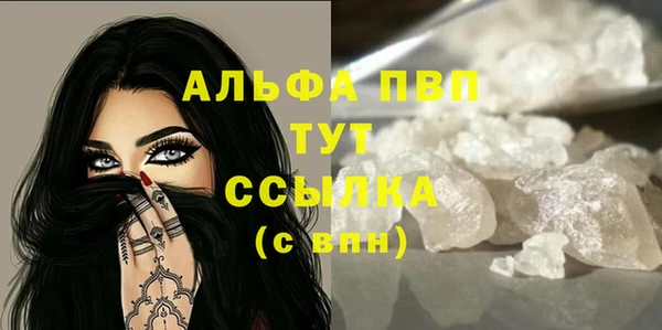 прущие грибы Володарск
