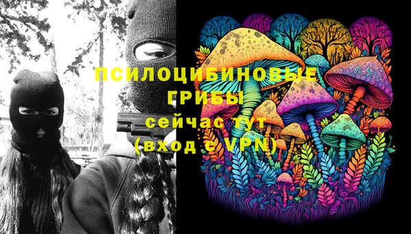 прущие грибы Володарск