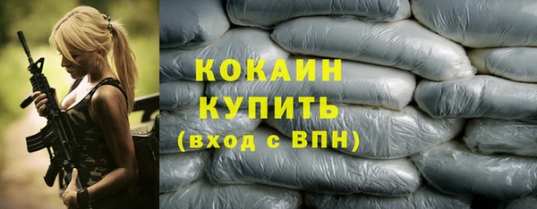 прущие грибы Володарск